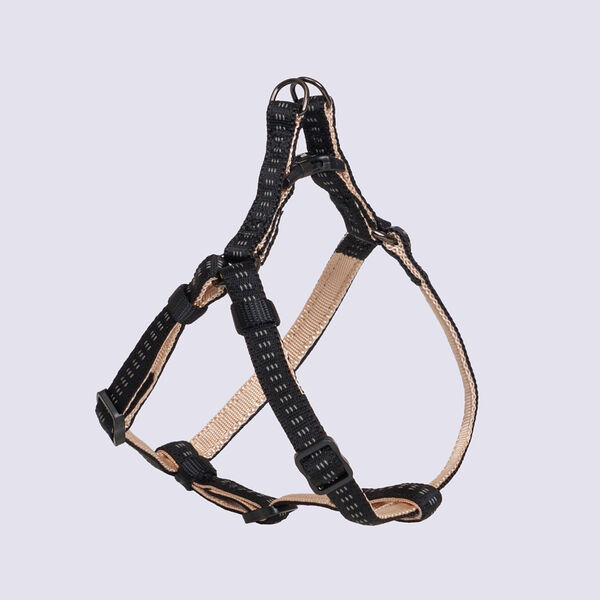 Шлейка Rungo Step-in Downtown XS–S: 10 мм x 30-40 см черный с бежевым