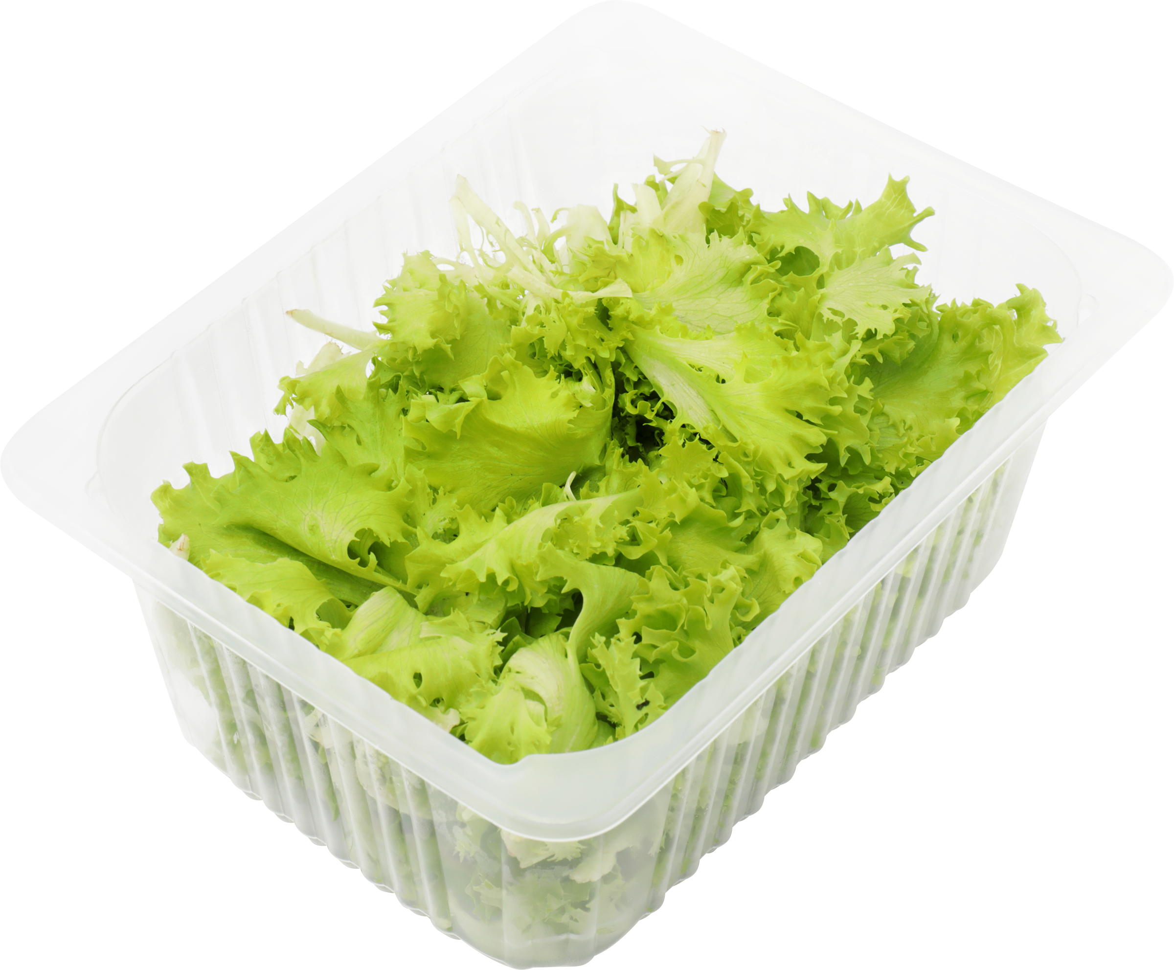 

Салат Фриссе iFarm листовой 100 г