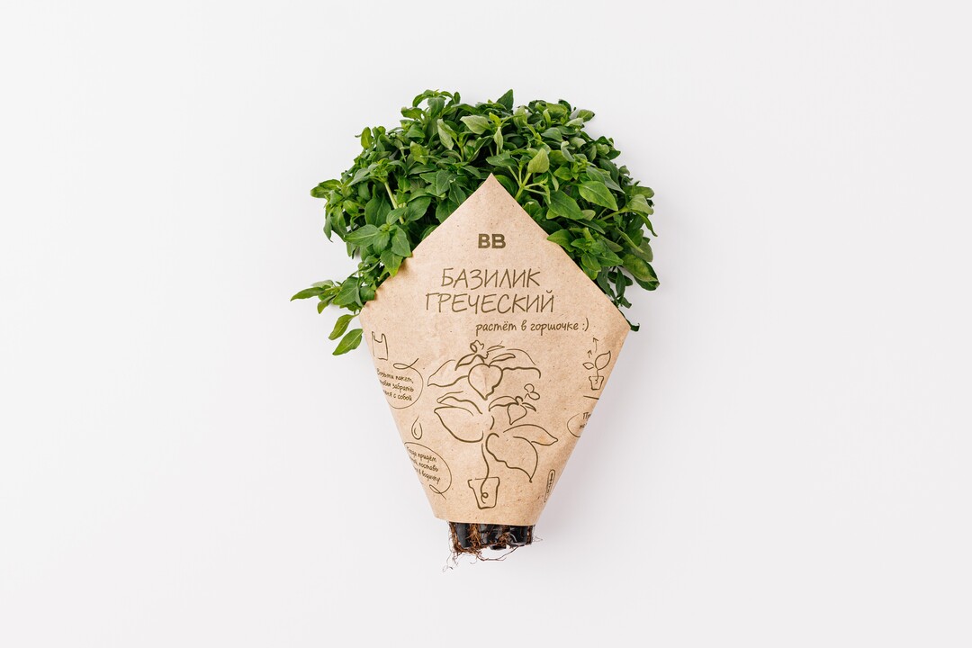 

Базилик греческий в горшочке 15 г