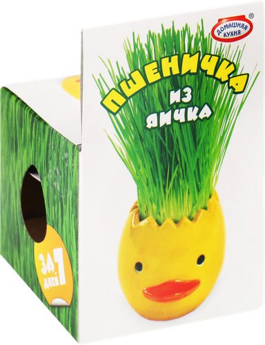 

Пасхальный набор Домашняя кухня Пшеничка из яичка