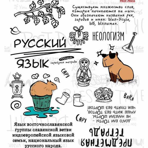 Тетрадь предметная Prof-Press Капибара Русский язык в линейку А5, 48 л