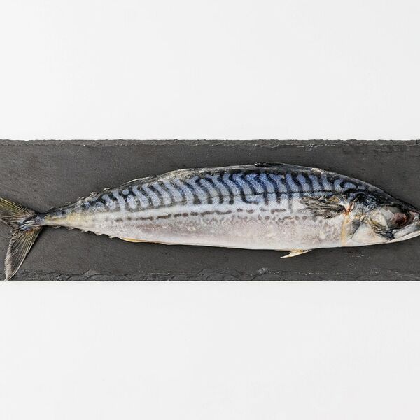 Скумбрия 300/600 ВкусВилл замороженная вес