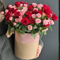 Изображение 4