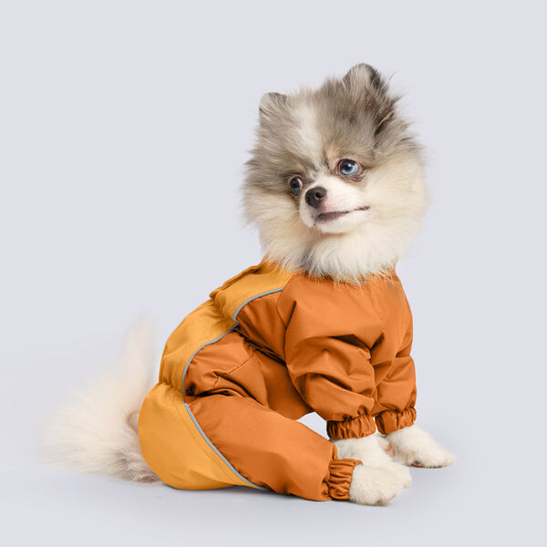 Дождевик Rungo Шпиц девочка оранжевый