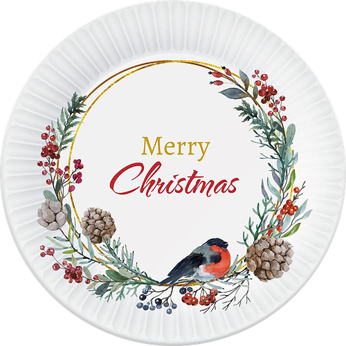 Тарелки бумажные ND Play Зеленая клетка D 18 см 6 шт