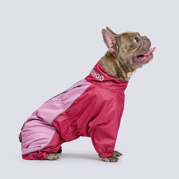 Дождевик для собак Rungo породы французский бульдог, обхват шеи 44 см, обхват груди 68 см, длина спины 35 см, бордо (девочка)