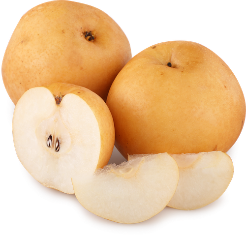 

Груша Китайская весовая