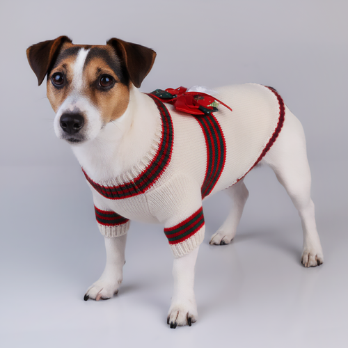 

Свитер для собак Paw Wow с бантом размер L