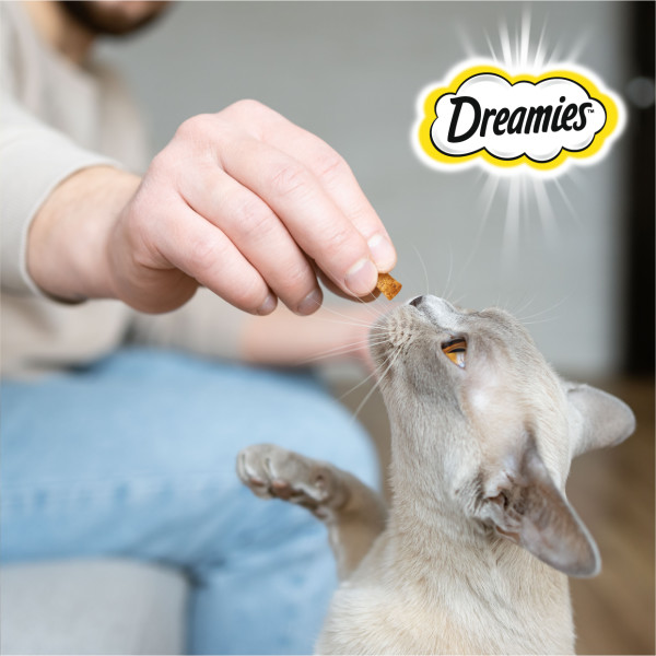 

Лакомство Dreamies Mix для взрослых кошек с мятой и курицей 60 г