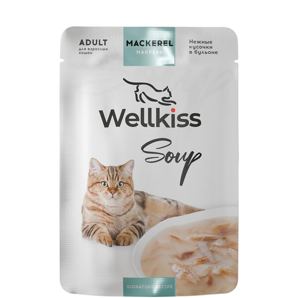 Влажный корм Wellkiss Adult пауч для взрослых кошек суп из макрели 35 г