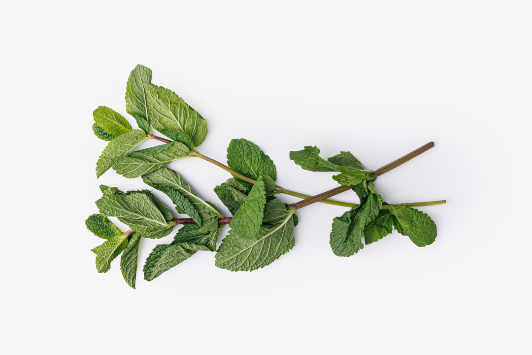 

Мята свежая ВкусВилл 10 г