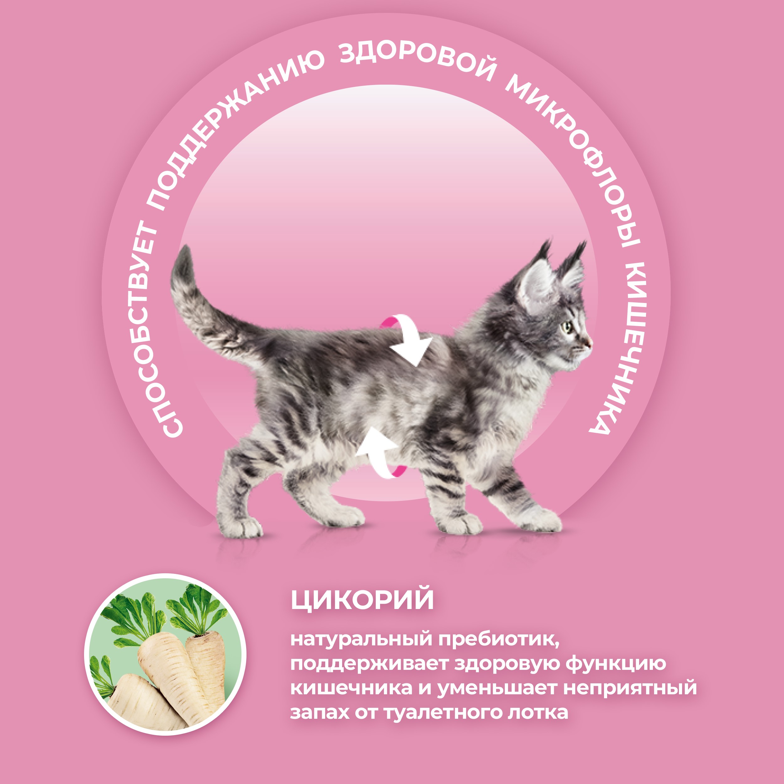 

Сухой корм для котят Purina One с высоким содержанием курицы и цельными злаками 200 г