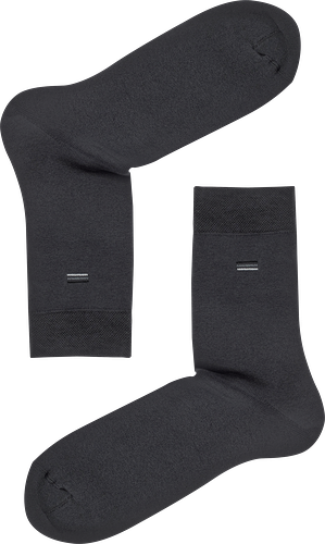 Носки мужские Брестские Arctic тёмно-серые р 25-29