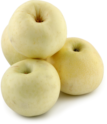 

Яблоки Белый рубин весовые