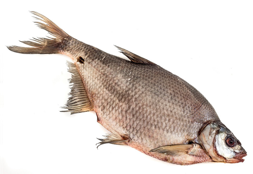 

Лещ вяленый вес