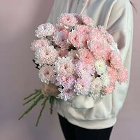 Изображение 4