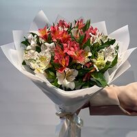 Изображение 4