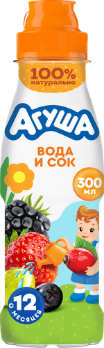 

Напиток сокосодержащий Агуша Ягоды садовые с 12 мес. 300 мл