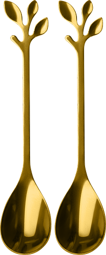 Набор ложек Apollo Fleur десертных арт. FLR-004 2 шт.