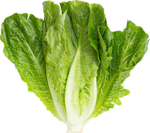 

Салат листовой Романо 450 г