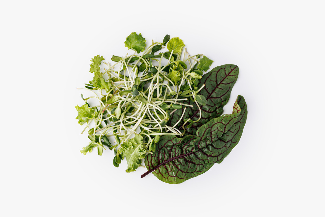 

Микс ВкусВилл из микрозелени подсолнечника и салата кейла 50 г