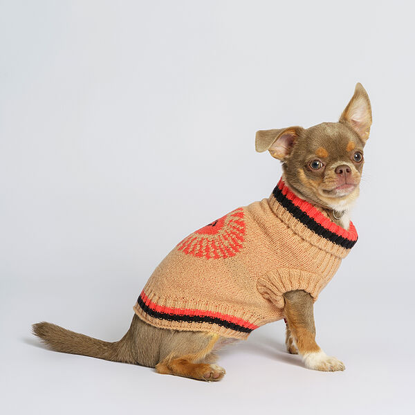 Свитер Petmax с солнышком для кошек и собак S, бежевый