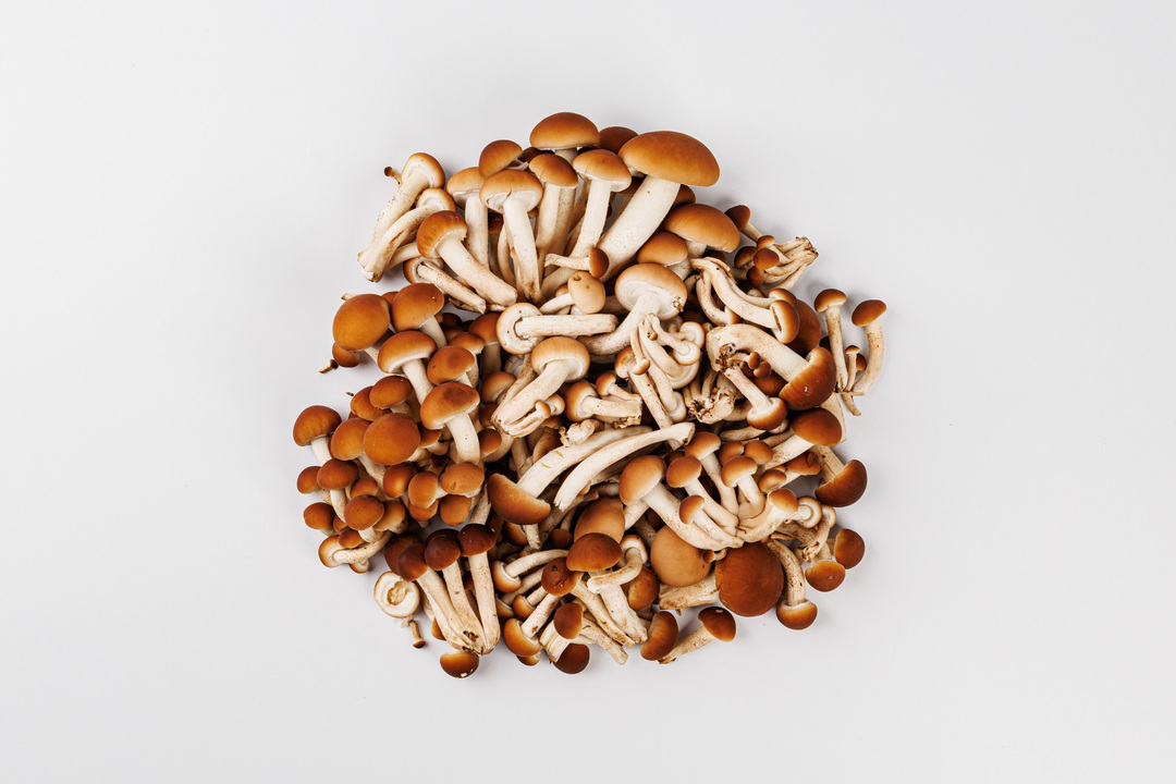 

Грибы Опята ВкусВилл 200 г