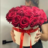Изображение 5