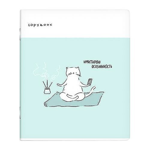 Тетрадь Феникс+ Жизнь кота клетка скоба 96 л в ассортименте