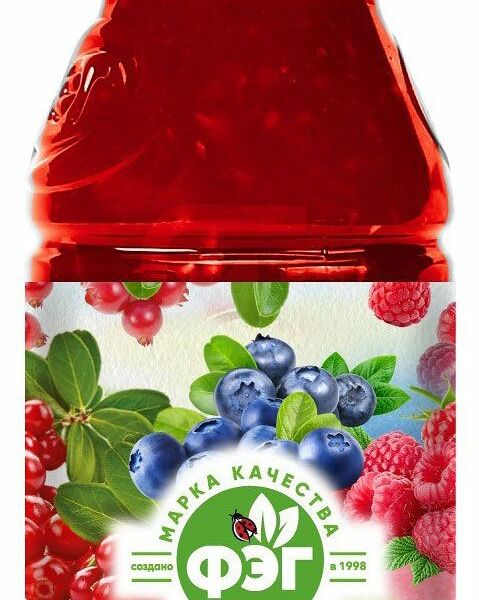 Морс ФЭГ из лесных ягод, 400 мл