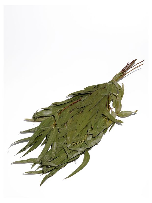 

Веник банный ГлавБаня эвкалиптовый оригинальный 1 шт.