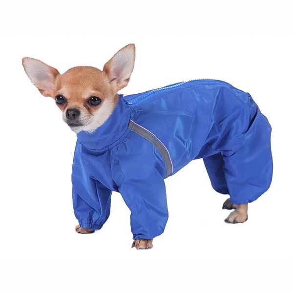 Комбинезон холодный для собак Шпиц M (мальчик)