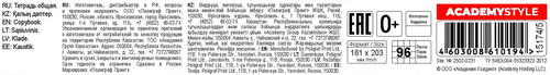 

Тетрадь общая Academy Style Кричащий кот, в клетку, обложка картон, 48 листов, в ассортименте 1 шт.