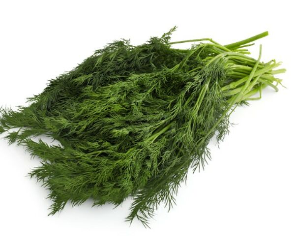 Укроп Лента свежий 100 г