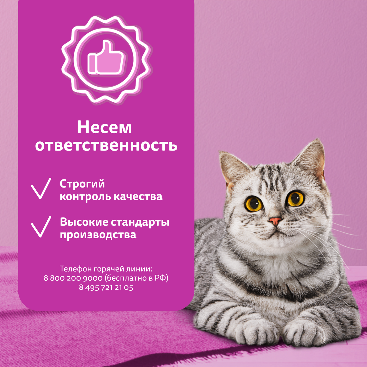 

Корм влажный для кошек Whiskas Аппетитное рагу индейка 75 г