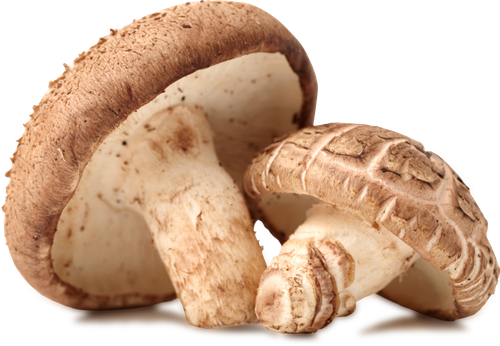 

Грибы шиитаке, 150г