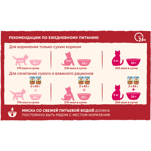 

Влажный корм для кошек Nature’s Table Курица в соусе 85 г