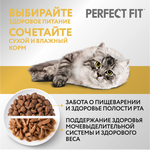 

Сухой корм Perfect Fit для взрослых кошек с чувствительным пищеварением с индейкой 650 г