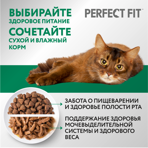 

Сухой полнорационный корм Perfect Fit Sterile Курица для стерилизованных кошек 1.2 кг