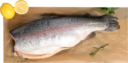 

Форель Радужная замороженная потрошеная без головы вес