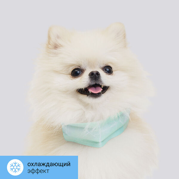 Ошейник для собак Rurri охлаждающий зеленый 35x4.7 см