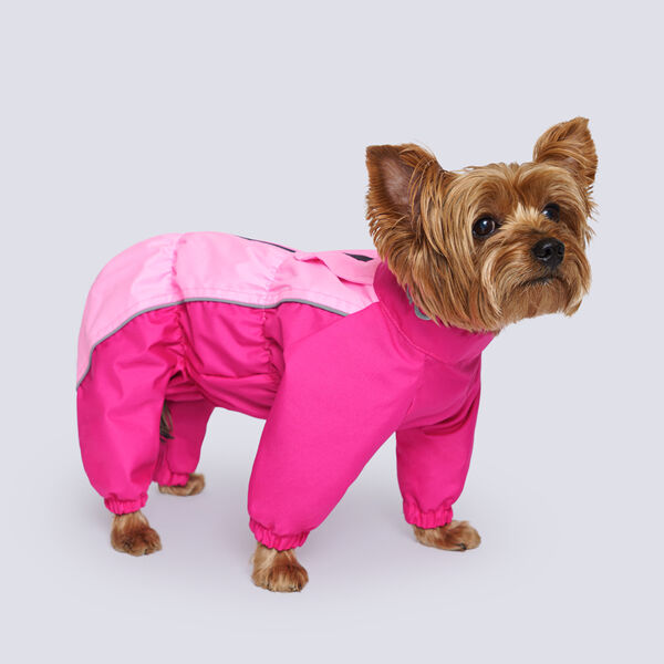 Дождевик Rungo Йорк, Чихуа девочка L малина