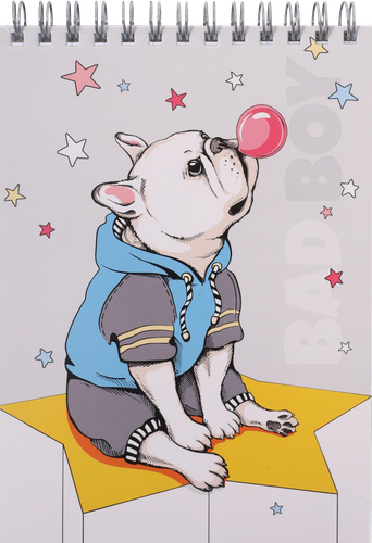 

Блокнот для записей, 60 листов, на пружине, 10.5x14.8 см, арт. 3333357