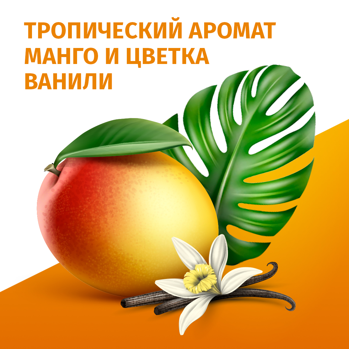 

Дезодорант Фа Ритмы Острова Бали Delight 150 мл