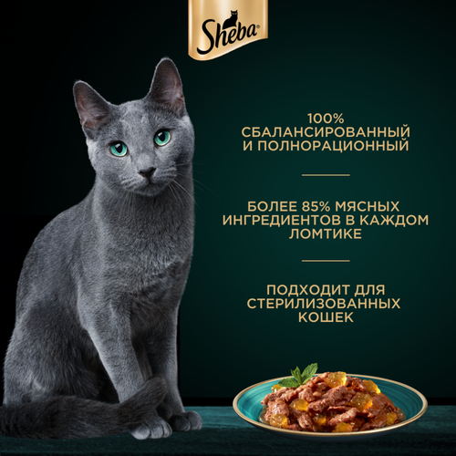 

Влажный корм для кошек Sheba Ломтики в желе с курицей 75 г