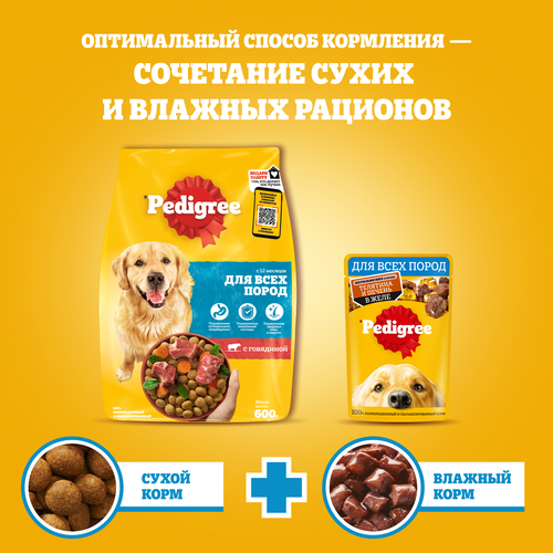 

Влажный корм Pedigree для собак, телятина и печень в желе 85 г
