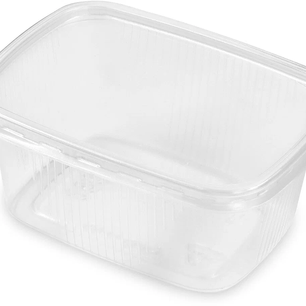 Контейнер для горячих и холодных продуктов одноразовый с крышкой 365 дней 250мл, 50шт