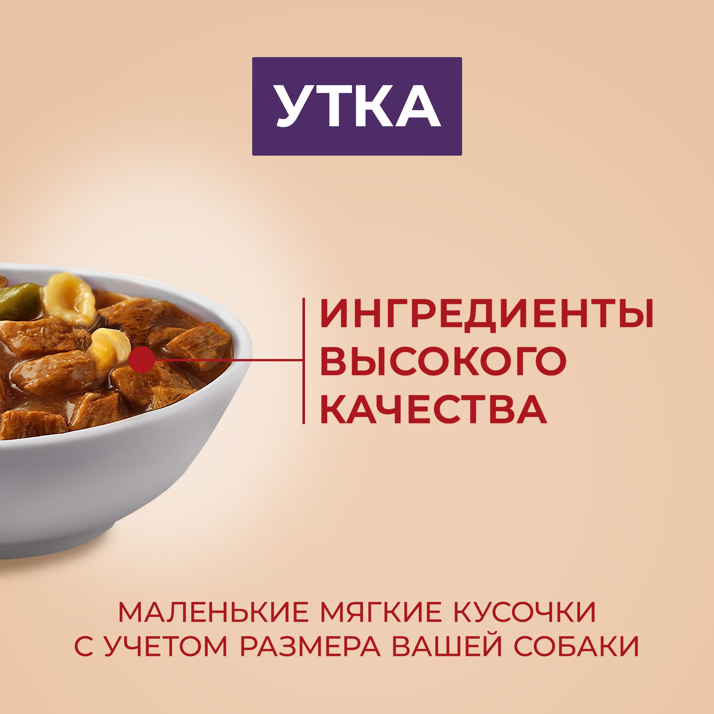 

Влажный корм Purina One Mini для собак мелких пород с уткой пастой и зеленой фасолью в подливе 85 г