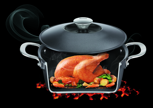 

Утятница TEFAL Pro Cook, с крышкой, литой алюминий, индукция, 6.3л Арт. E2156975