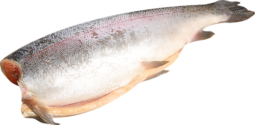 Форель Радужная замороженная потрошеная без головы, вес